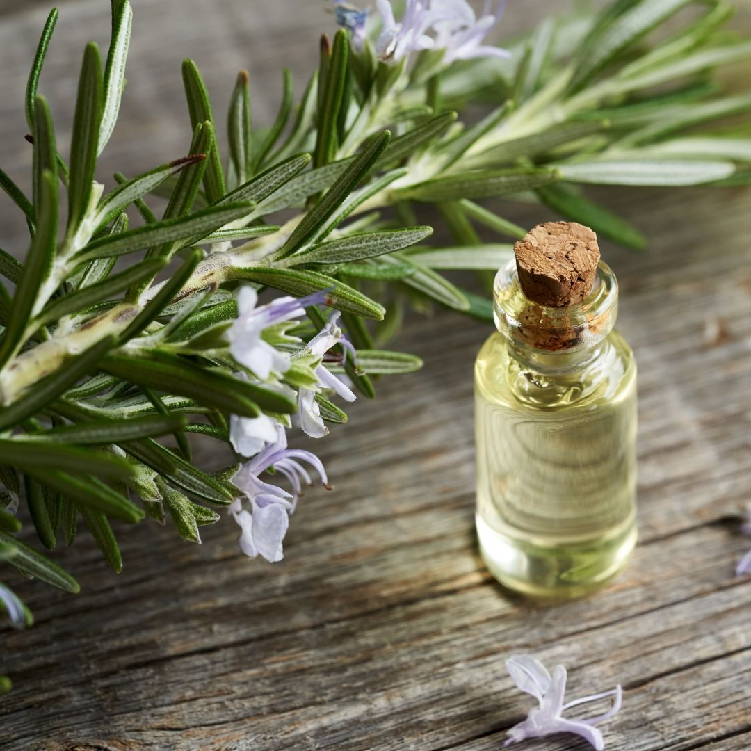 does rosemary oil grow hair