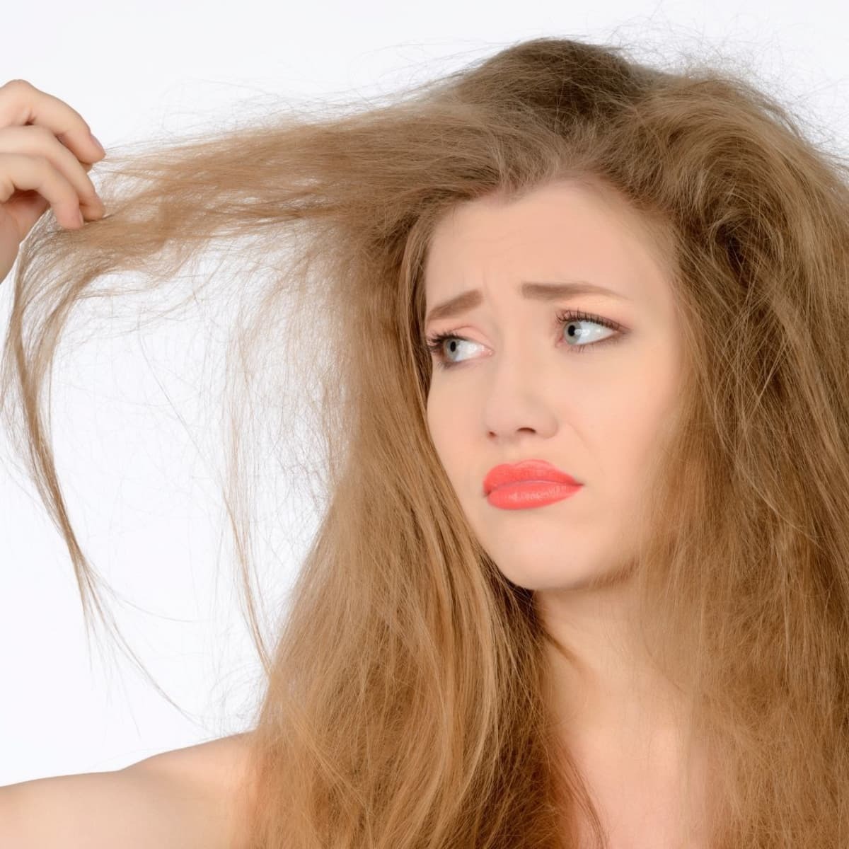 dry damaged hair