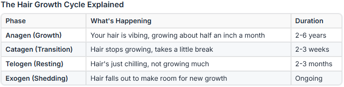 hair growth cycle explained