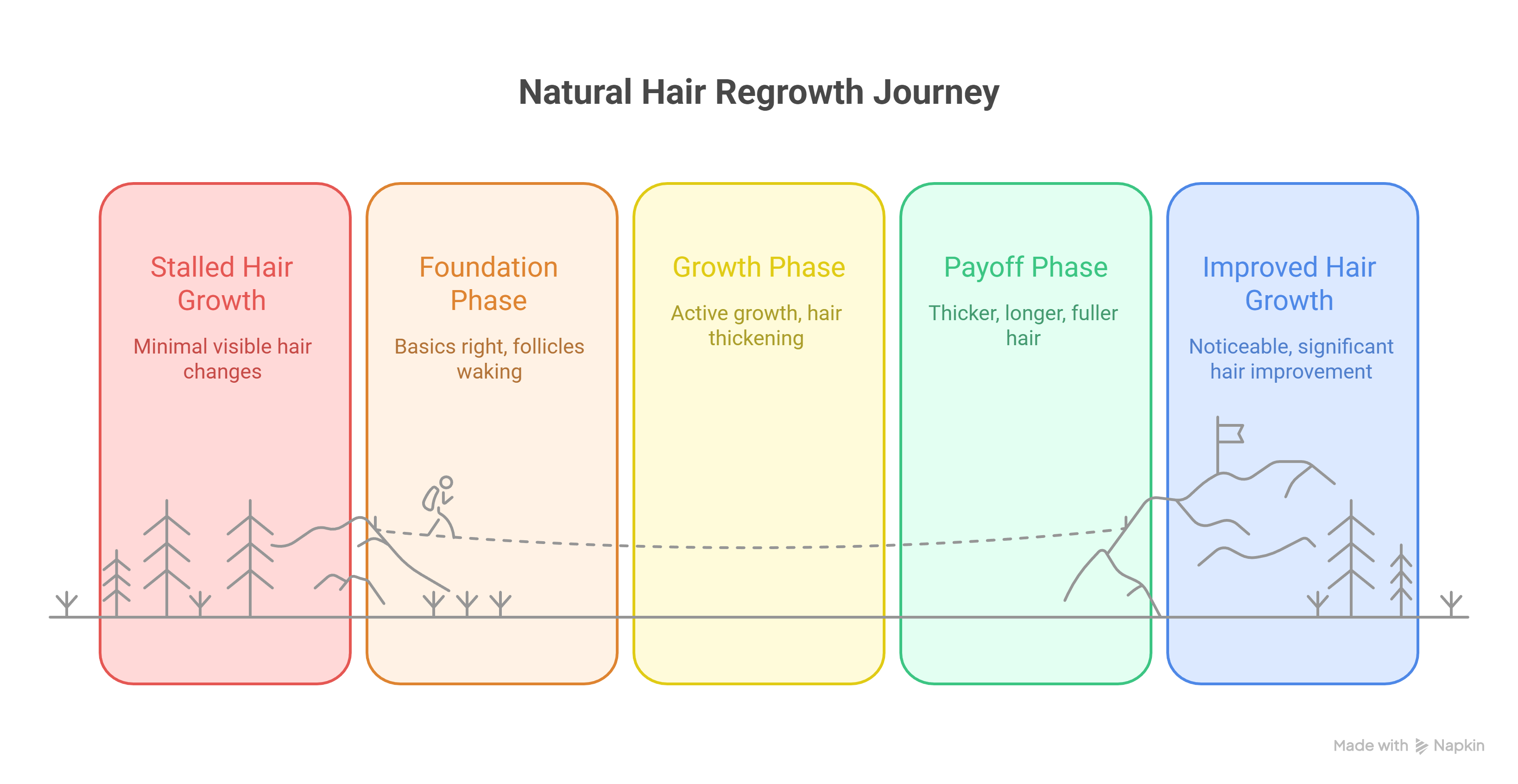 Hair Growth timeline