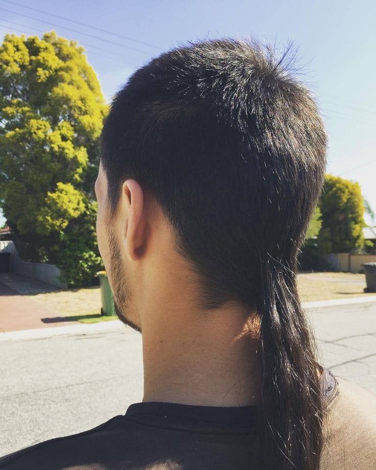 chicano rat tail